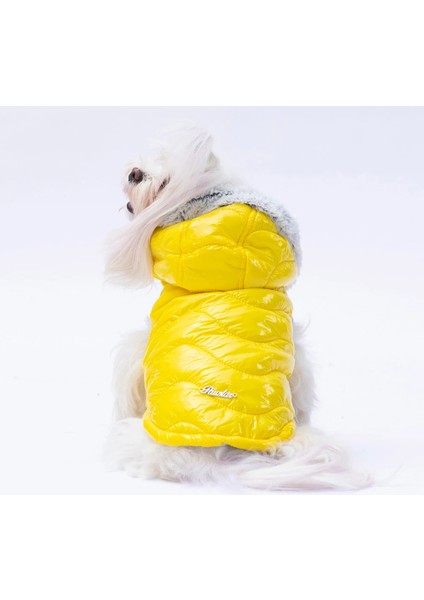 Light Wave Kedi Köpek Yelek