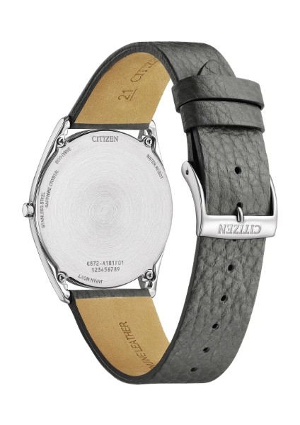 AR3120-24L Erkek Kol Saati modelleri