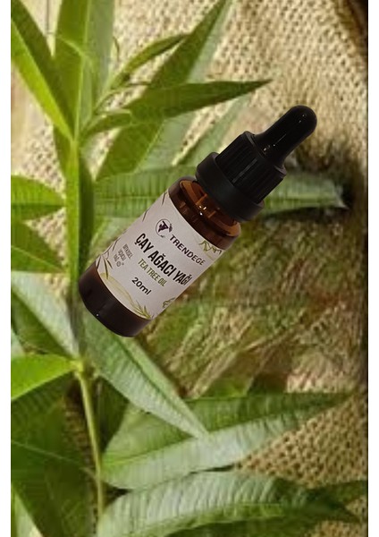 Çay Ağacı Yağı 20 ml (Tea Tree Oil) fiyatları
