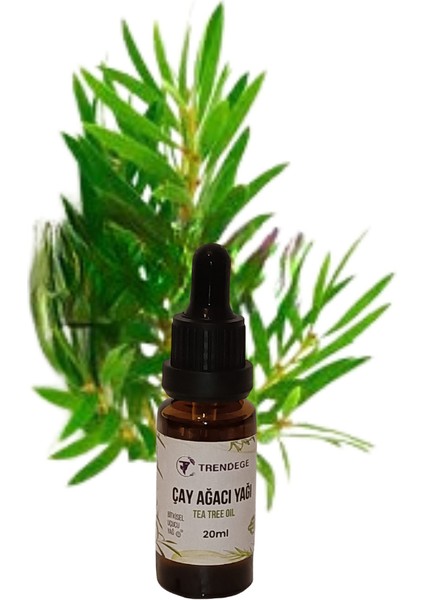 Çay Ağacı Yağı 20 ml (Tea Tree Oil) modelleri