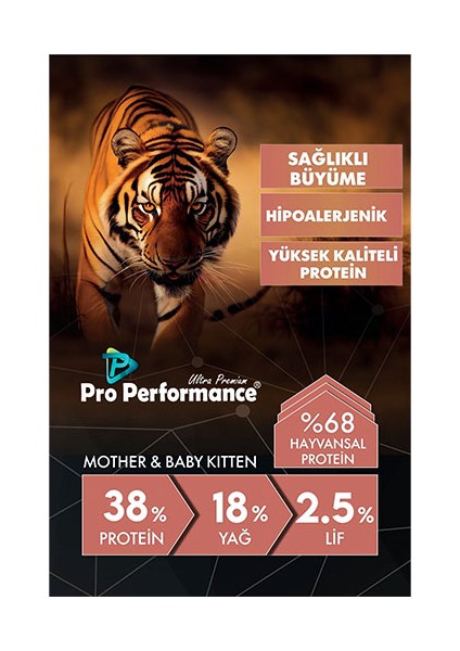 Mother Baby Kitten Somonlu ve Pirinçli Anne Yavru Kedi Mamsı 2 kg modelleri