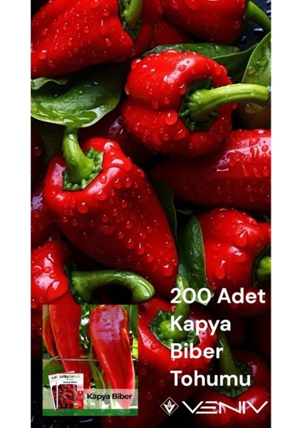 200 Adet Kapya Biber Tohumu