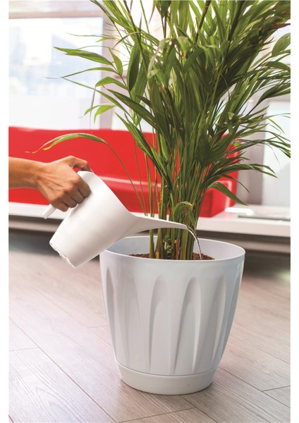 1 Lt Çiçek Sulama Kabı Kaliteli Plastik Kaktüs Orkide ve Çiçek Sulama Kabı