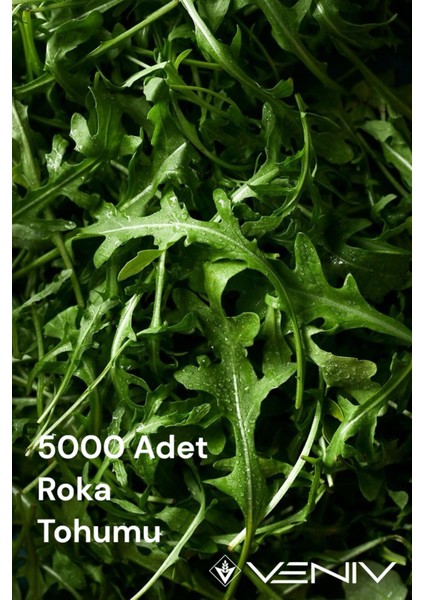 5000 Adet Roka Tohumu 2 Paket