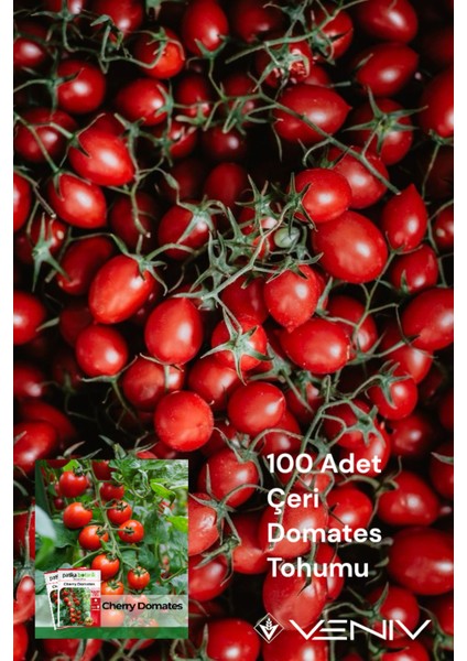 100 Adet Çeri Domates Tohumu 2 Paket