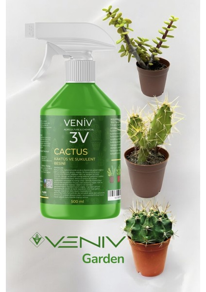 3V Cactus Sukulent ve Kaktüs Besini+ Para Çiçeği + Top Kaktus + Dikenli Kaktus