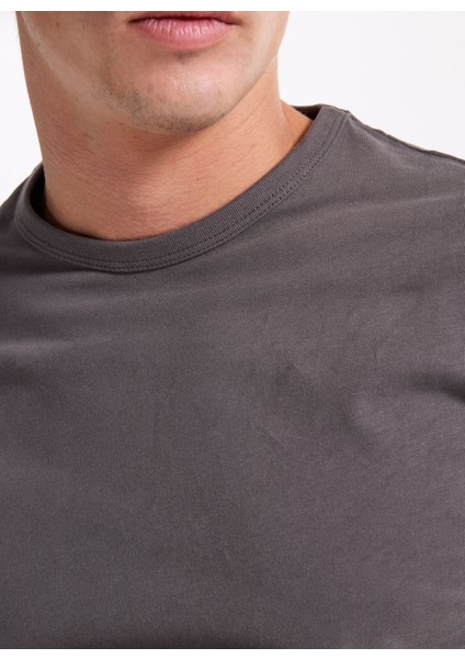 Bisiklet Yaka Gri Erkek T-Shirt 12283659_JORSTYLING Icon Tee Ss Cn indirimleri