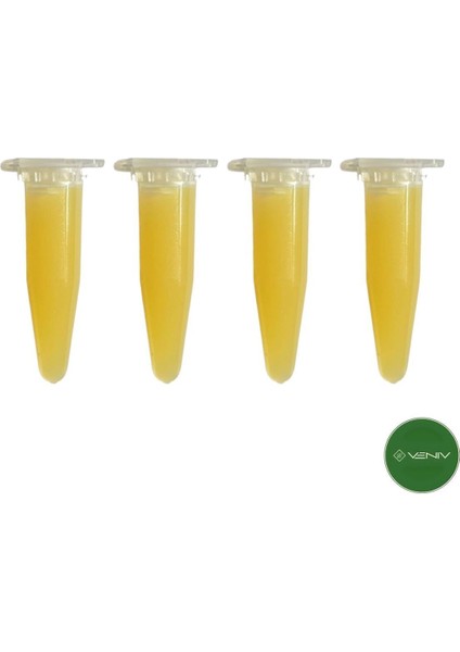 3V Keiki Orkide Çoğaltma Macunu (En Etkili)4 Adet x 1,5 Gr- Stokinin Büyüme Hormonu