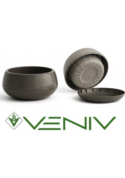 Aranjman Dekoratif Saksı-Çiçek-Kaktüs ve Sukulent 0.68L- 1ADET