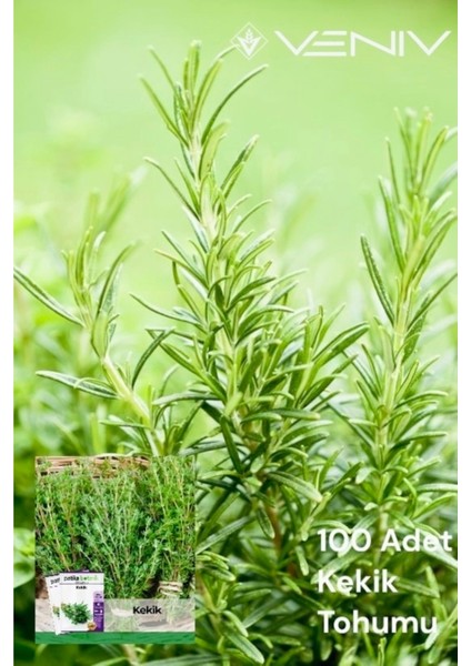 100 Adet Kekik Tohumu 2 Paket