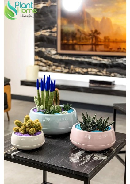 Elvan Aranjman Saksı 0,86 Litre Soft Pembe 17CM Menekşe Kaktüs Sukulent Saksısı Parlak Plastik