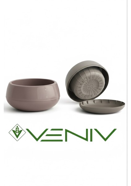 Aranjman Dekoratif Saksı-Çiçek-Kaktüs ve Sukulent 0.68L- 1ADET