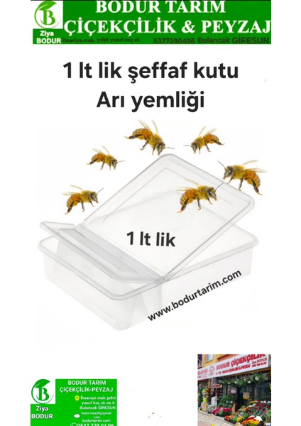 BODUR TARIM BULANCAK 1. Lt Lik kalite plastik Şeffaf Plastik Kutu Arı yemlik