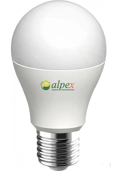 10 Watt 24 Volt LED Ampul