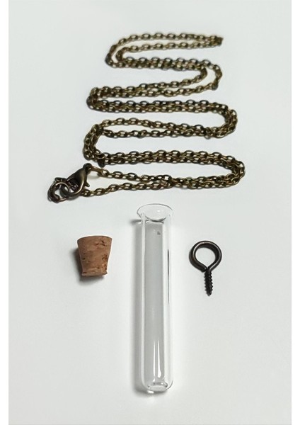 Techmrt Boş Fanus Canlı Kolye-Şeffaf