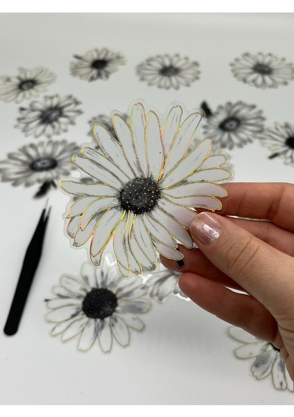 Florescence Altın Yaldızlı Siyah-Beyaz Özel Tasarım Papatya Sticker Seti/20 Adet/etiket/çıkartma fiyatları