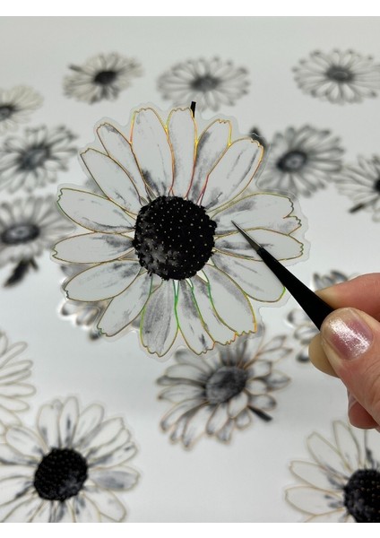 Florescence Altın Yaldızlı Siyah-Beyaz Özel Tasarım Papatya Sticker Seti/20 Adet/etiket/çıkartma modelleri