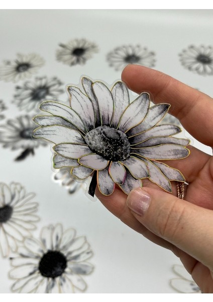 Florescence Altın Yaldızlı Siyah-Beyaz Özel Tasarım Papatya Sticker Seti/20 Adet/etiket/çıkartma fırsatları
