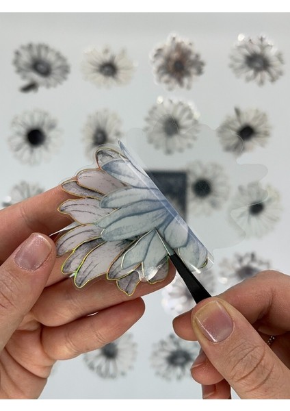 Florescence Altın Yaldızlı Siyah-Beyaz Özel Tasarım Papatya Sticker Seti/20 Adet/etiket/çıkartma indirimleri