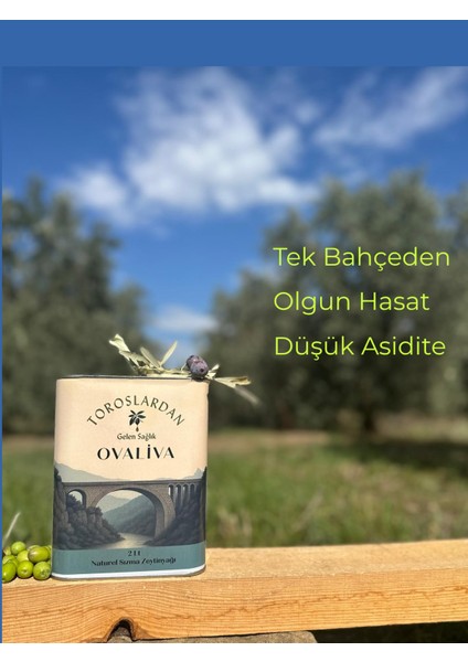 Yeni Sezon 2025/2026 Tek Bahçeden Naturel Sızma Zetinyağı 2lt modelleri