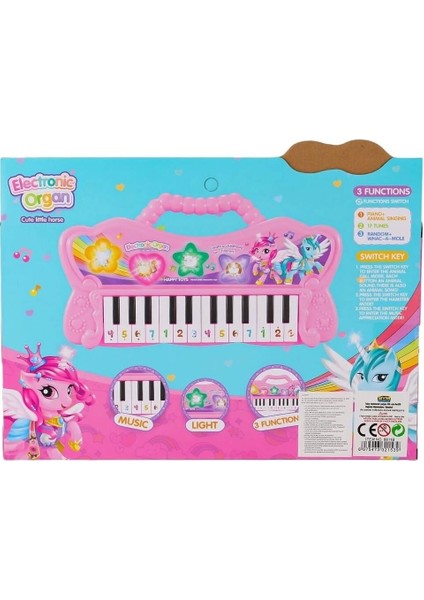 Kutulu Çantalı Pilli Org Kız Erkek Çocuk Oyuncak Eğitici Oyuncaklar fiyatları