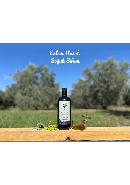 Erken Hasat Soğuk Sıkım Trilye Cinsi 2025/2026 Sezonu Naturel Sızma Zeytinyağı 1lt modelleri