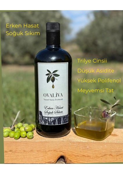 Erken Hasat Soğuk Sıkım Trilye Cinsi 2025/2026 Sezonu Naturel Sızma Zeytinyağı 1lt fiyatları