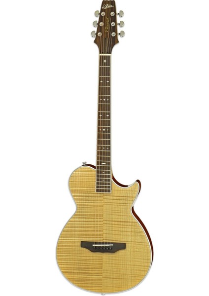 APE100N Elektro Akustik Gitar