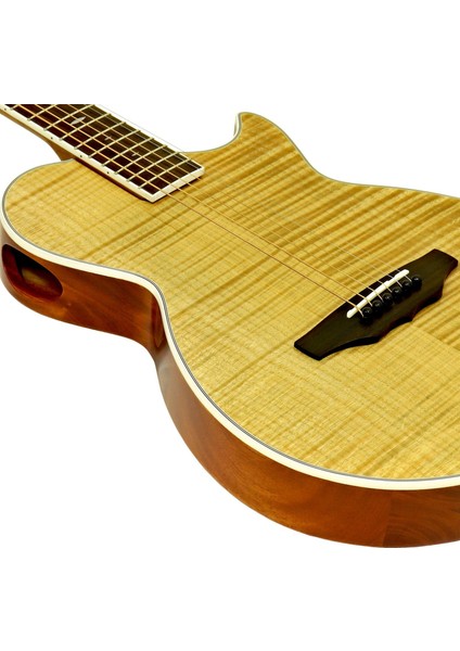 APE100N Elektro Akustik Gitar fiyatları