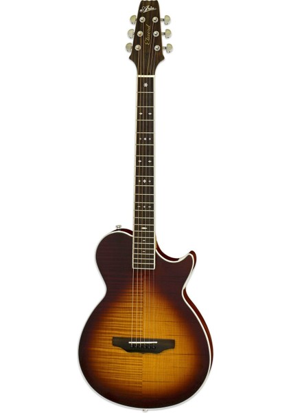 APE100TS Elektro Akustik Gitar