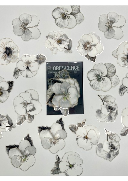 Florescence Altın Yaldızlı Siyah-Beyaz Özel Tasarım Gündüz Menekşesi Sticker Seti/20 Adet/etiket/çıkartma fiyatları