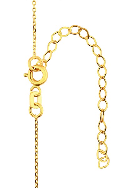 10 gr Kalemli Altın Külçe Kolye fırsatları