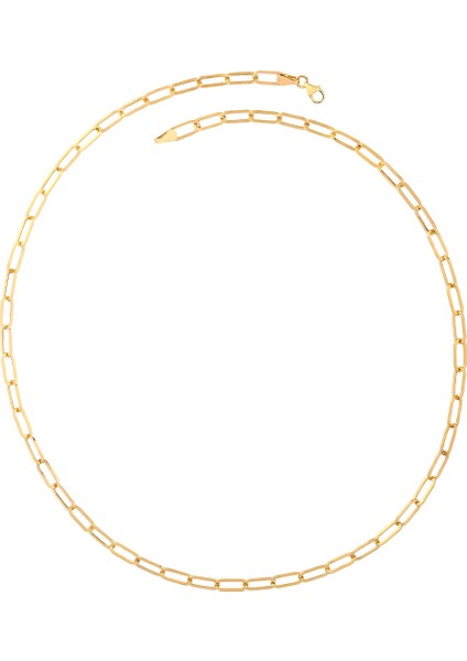 Agakulche Ataç 4 mm Altın Zincir