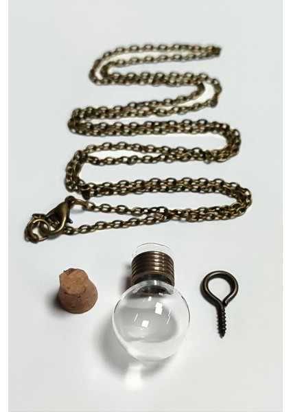 Techmrt Boş Fanus Canlı Kolye-Şeffaf