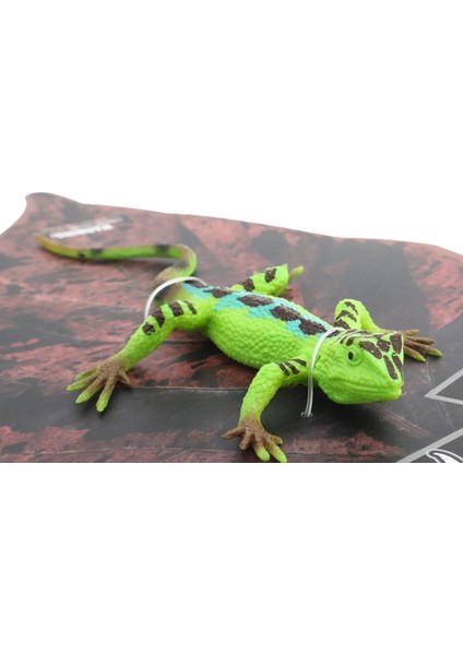 Strech Yeşil Leopar Desenli Kertenkele Kız Erkek Çocuk Oyuncak Eğitici Oyuncaklar fiyatları