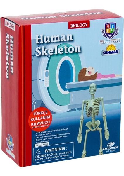 Bilim Seti : Insan Iskeleti Kız Erkek Çocuk Oyuncak Eğitici Oyuncaklar fiyatları