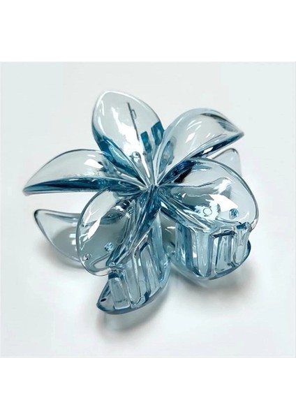 Lotus Toka 6 cm fiyatları