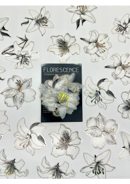 Florescence Altın Yaldızlı Siyah-Beyaz Özel Tasarım Zambak Çiçeği Sticker Seti/20 Adet/etiket/çıkartma fiyatları
