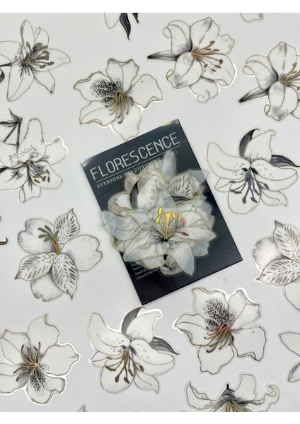 Florescence Altın Yaldızlı Siyah-Beyaz Özel Tasarım Zambak Çiçeği Sticker Seti/20 Adet/etiket/çıkartma modelleri