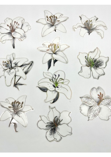 Florescence Altın Yaldızlı Siyah-Beyaz Özel Tasarım Zambak Çiçeği Sticker Seti/20 Adet/etiket/çıkartma fırsatları