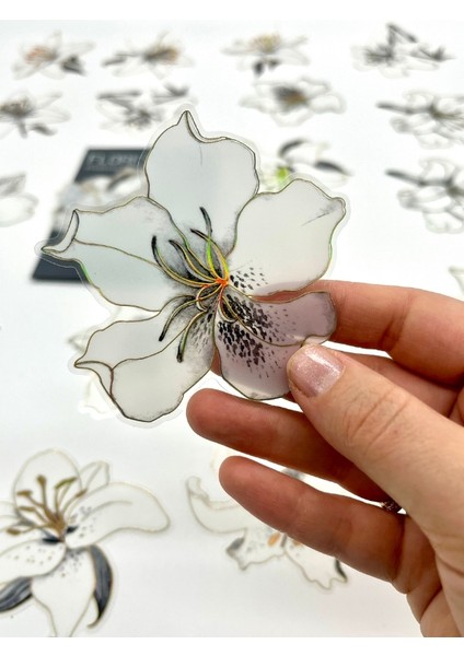 Florescence Altın Yaldızlı Siyah-Beyaz Özel Tasarım Zambak Çiçeği Sticker Seti/20 Adet/etiket/çıkartma indirimleri