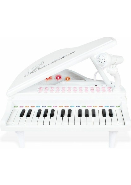 BAO-1504B 31 Tuşlu Mini Piano Mp3 Kız Erkek Çocuk Oyuncak Eğitici Oyuncaklar