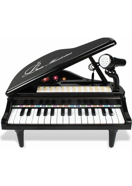 BAO-1504B 31 Tuşlu Mini Piano Mp3 Kız Erkek Çocuk Oyuncak Eğitici Oyuncaklar modelleri