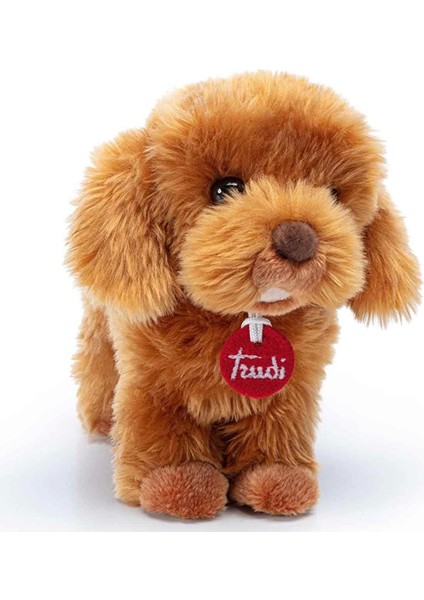 Trudi Peluş Toy Poddle Oliver Köpek 20CM Kız Erkek Çocuk Oyuncak Eğitici Oyuncaklar fiyatları