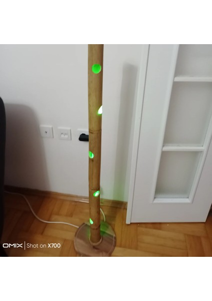 Bohemlamba modelleri