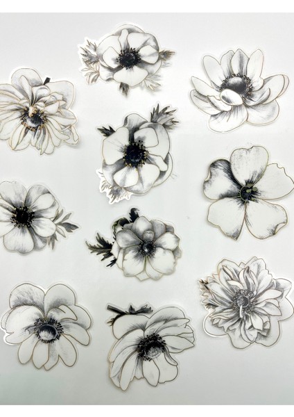 Florescence Altın Yaldızlı Siyah-Beyaz Özel Tasarım Anemon Çiçeği Sticker Seti/20 Adet/etiket/çıkartma indirimleri