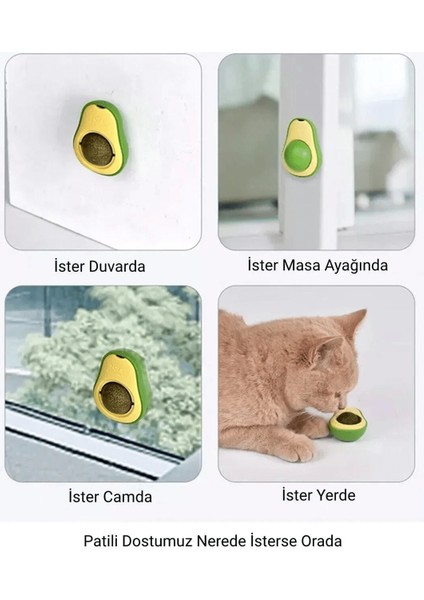 Avakado Kedi Nanesi Cat Mint Oyun Topu - Lisinya fiyatları