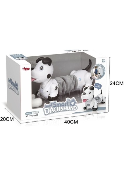 GL-777-603 U/k Işıklı ve Sesli Sevimli Robot -Vrd Kız Erkek Çocuk Oyuncak Eğitici Oyuncaklar