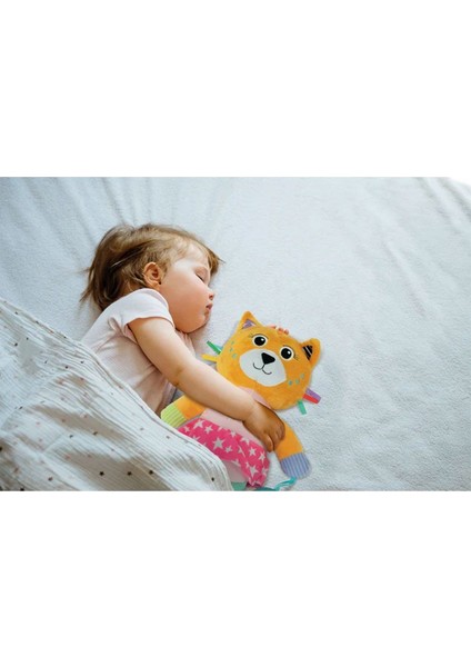 17908 Baby Clementoni - Yumuşacık Kedicik Kız Erkek Çocuk Oyuncak Eğitici Oyuncaklar modelleri