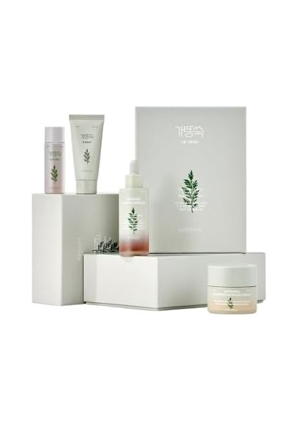 Mıssha Artemisia Annua Özü Içeren Hassas Ciltler Için Kızarıklık Karşıtı Bakım Seti Artemisia Calming Set